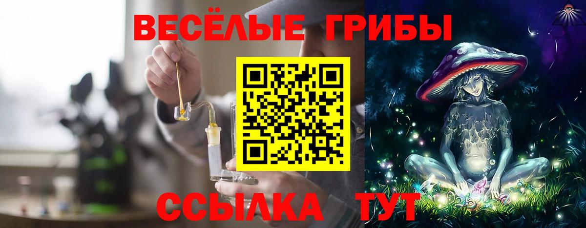 Бугуруслан  Псилоцибиновые грибы GOLDEN TEACHER  Вход с VPN 